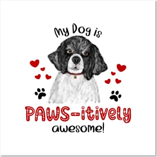 My Dog Is Pawsitively Awesome (Portuguese Water Dog) Posters and Art